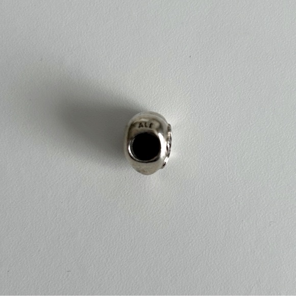 Pandora I ❤️ My Pet Charm - Picture 3 of 4